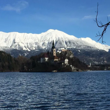 Adventure With Pool And Big Garden Apartman