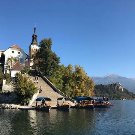 Adventure With Pool And Big Garden * Bled