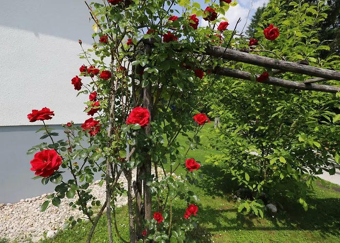 Adventure With Pool And Big Garden