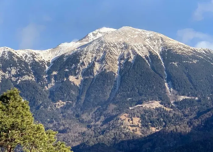 Adventure With Pool And Big Garden Apartma *